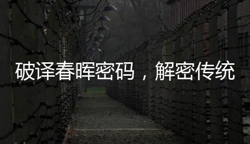 破譯春暉密碼，解密傳統(tǒng)文化之行行行春聯(lián)誦讀藝術