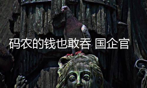 碼農(nóng)的錢也敢吞 國(guó)企官網(wǎng)疑遭黑客攻擊事件調(diào)查