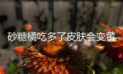 砂糖橘吃多了皮膚會變黃嗎？探究真相與科學(xué)依據(jù)