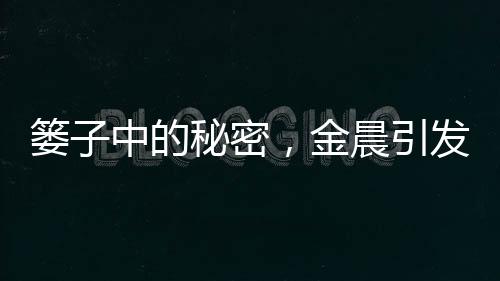 簍子中的秘密，金晨引發(fā)網(wǎng)友熱議