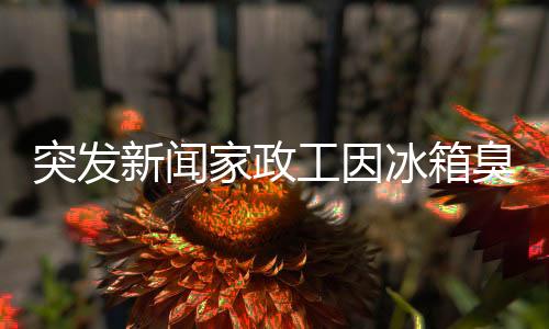 突發(fā)新聞家政工因冰箱臭暈倒，事件引發(fā)社會(huì)關(guān)注