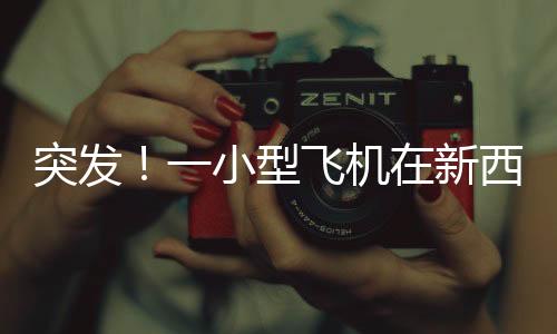 突發(fā)！一小型飛機(jī)在新西蘭墜毀 致一人受重傷