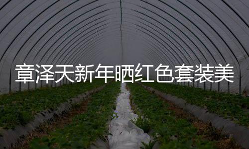 章澤天新年曬紅色套裝美照，三十一歲依舊光芒四射