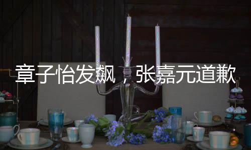 章子怡發(fā)飆，張嘉元道歉——一次公眾事件的深度解讀