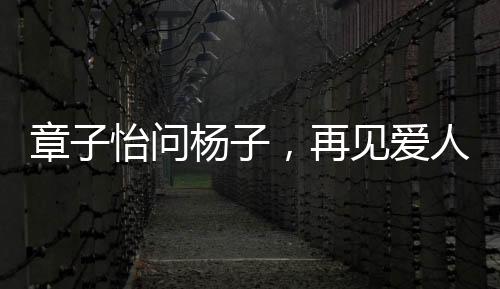 章子怡問楊子，再見愛人是演的嗎？專訪解讀綜藝節(jié)目幕后故事