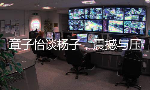 章子怡談楊子，震撼與壓力并存