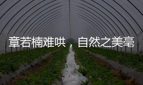 章若楠難哄，自然之美毫無(wú)攻擊性，如詩(shī)如畫引人入勝
