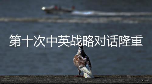 第十次中英戰(zhàn)略對話隆重舉行，深化合作，共謀發(fā)展
