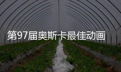 第97屆奧斯卡最佳動畫長片，超越想象的藝術(shù)佳作