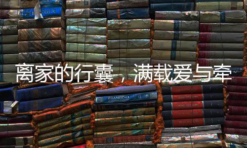 離家的行囊，滿載愛(ài)與牽掛的溫暖旅程