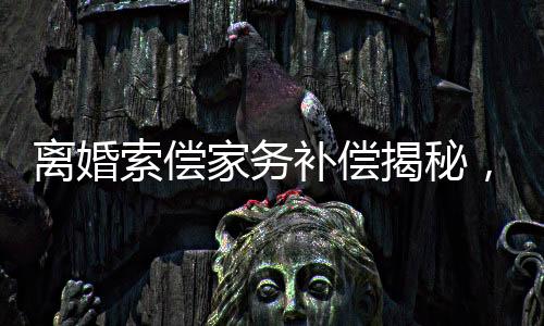 離婚索償家務(wù)補償揭秘，一紙判決背后究竟隱藏著怎樣的故事？