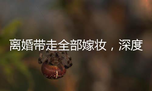 離婚帶走全部嫁妝，深度解讀背后的情感與經(jīng)濟問題