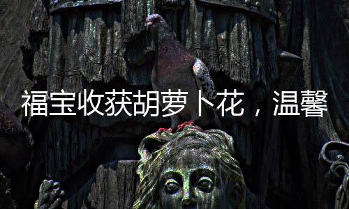 福寶收獲胡蘿卜花，溫馨時(shí)刻與獨(dú)特紀(jì)念的交織