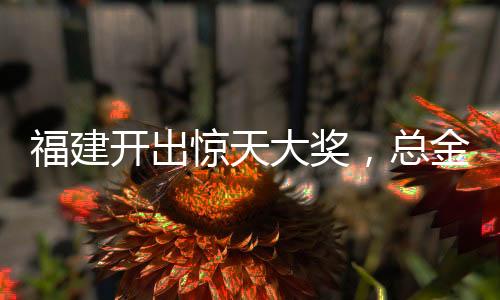 福建開(kāi)出驚天大獎(jiǎng)，總金額高達(dá)1.11億！