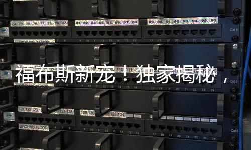 福布斯新寵！獨(dú)家揭秘，80后美女副總裁嶄露頭角登上福布斯富豪榜