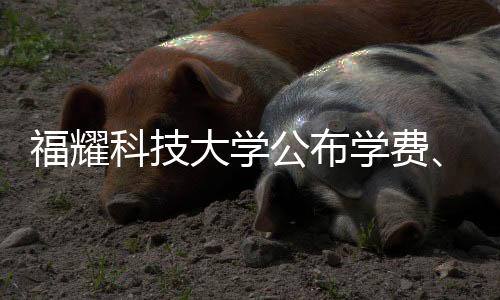 福耀科技大學公布學費、招生人數(shù)等，最新資訊詳解