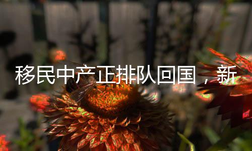移民中產(chǎn)正排隊回國，新時代背景下的國際人才流動新趨勢