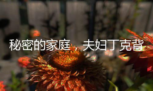 秘密的家庭，夫婦丁克背后的故事