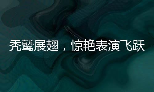 禿鷲展翅，驚艷表演飛躍人群——揭秘鳥類藝術(shù)的神奇時(shí)刻