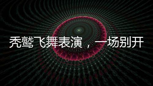 禿鷲飛舞表演，一場(chǎng)別開生面的視覺盛宴