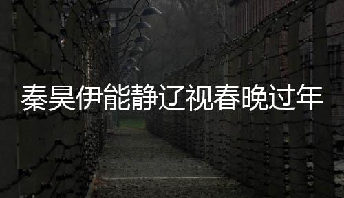 秦昊伊能靜遼視春晚過年，星光璀璨，共慶佳節(jié)
