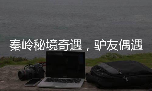 秦嶺秘境奇遇，驢友偶遇罕見六不像神獸