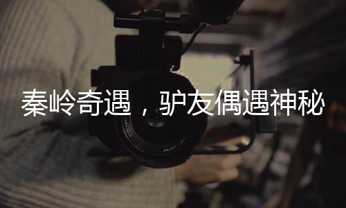 秦嶺奇遇，驢友偶遇神秘六不像神獸