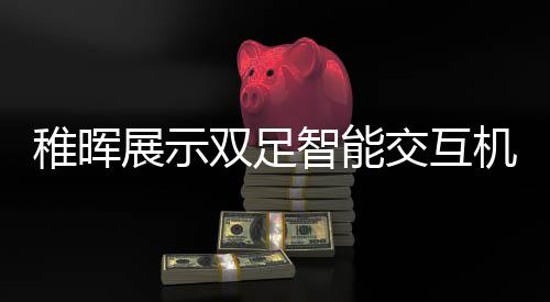 稚暉展示雙足智能交互機(jī)器人，未來科技的嶄新里程碑