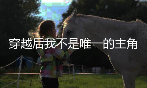 穿越后我不是唯一的主角？