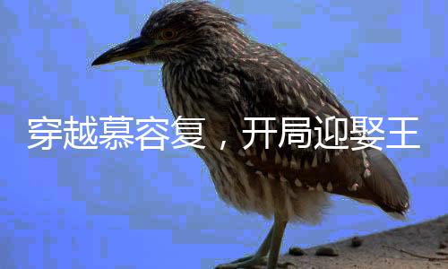 穿越慕容復，開局迎娶王語嫣