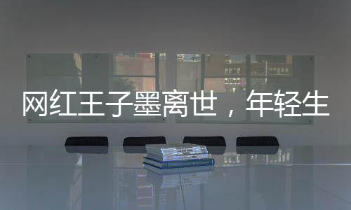 網(wǎng)紅王子墨離世，年輕生命的隕落
