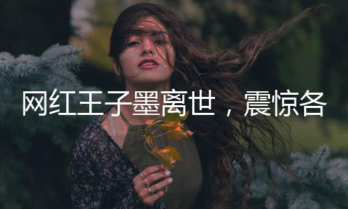 網(wǎng)紅王子墨離世，震驚各界
