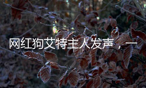 網(wǎng)紅狗艾特主人發(fā)聲，一段跨越物種的深厚情感故事