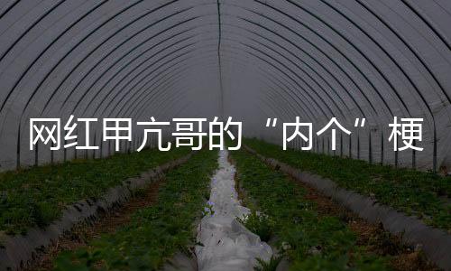 網紅甲亢哥的“內個”梗新應用 網友嘗試對DeepSeek說被噴回