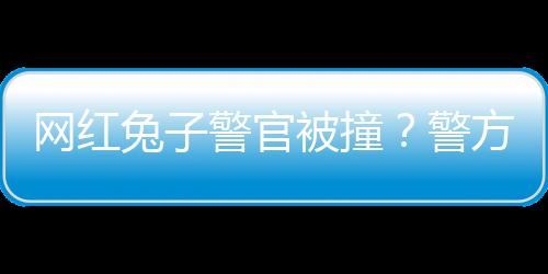 網(wǎng)紅兔子警官被撞？警方辟謠