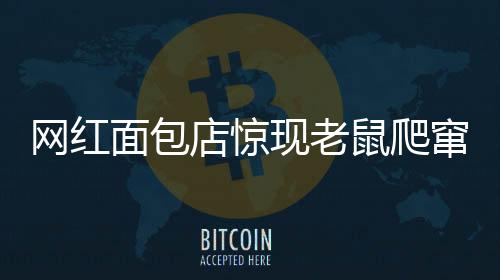 網(wǎng)紅面包店驚現(xiàn)老鼠爬竄，衛(wèi)生安全引關(guān)注
