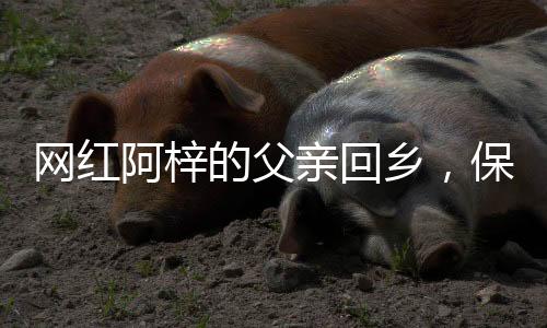 網(wǎng)紅阿梓的父親回鄉(xiāng)，保安爸爸的故事溫暖人心