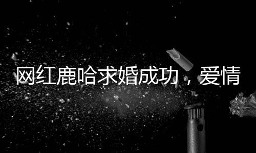 網(wǎng)紅鹿哈求婚成功，愛情的美好時刻在社交媒體上綻放