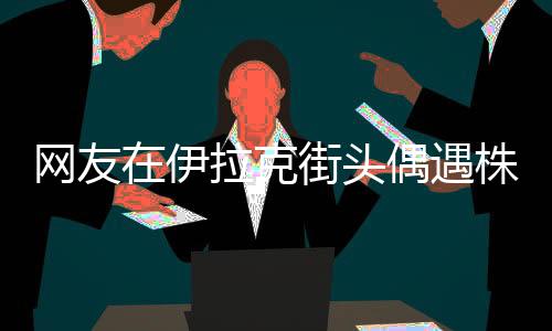 網(wǎng)友在伊拉克街頭偶遇株洲二中校服，跨文化交流的溫暖瞬間