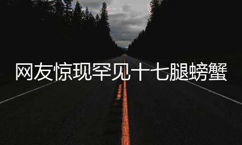 網友驚現罕見十七腿螃蟹，引發(fā)海洋奇觀熱議