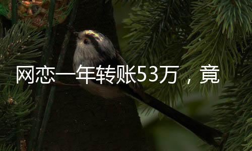 網(wǎng)戀一年轉(zhuǎn)賬53萬，竟然是親表妹，網(wǎng)戀風(fēng)險(xiǎn)警示故事