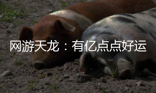 網(wǎng)游天龍：有億點點好運