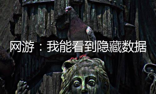 網(wǎng)游：我能看到隱藏數(shù)據(jù)