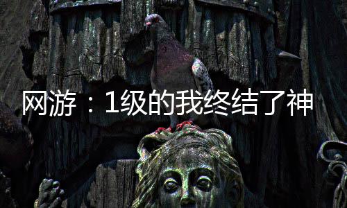 網(wǎng)游：1級(jí)的我終結(jié)了神明