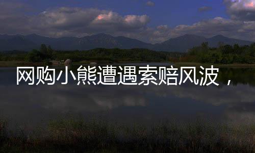 網(wǎng)購小熊遭遇索賠風(fēng)波，事件背后的真相與啟示