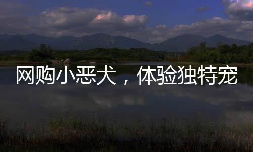 網(wǎng)購小惡犬，體驗(yàn)獨(dú)特寵物之旅