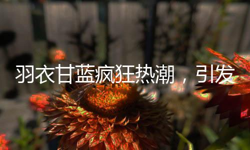 羽衣甘藍(lán)瘋狂熱潮，引發(fā)搶購(gòu)狂潮的神奇植物