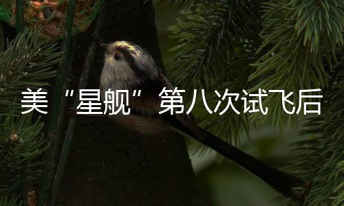 美“星艦”第八次試飛后不久，飛船與地面團隊失聯(lián)