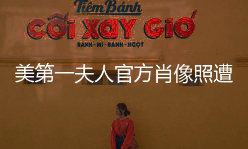 美第一夫人官方肖像照遭吐槽，公眾熱議背后的深層思考