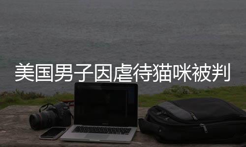 美國(guó)男子因虐待貓咪被判長(zhǎng)達(dá)40年監(jiān)禁，社會(huì)呼吁保護(hù)動(dòng)物權(quán)益